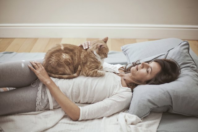 Young woman relaxing at home with her cat