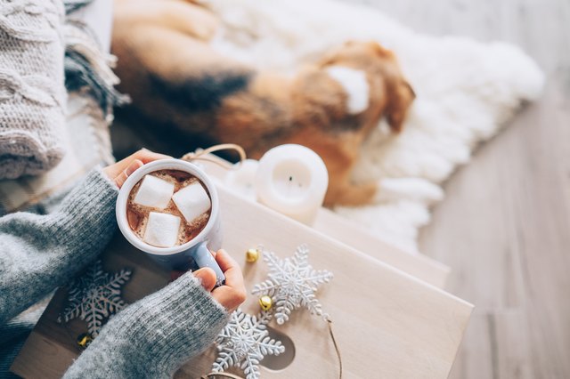 woman holding hot chocolate with marshmallows with dog in the background
