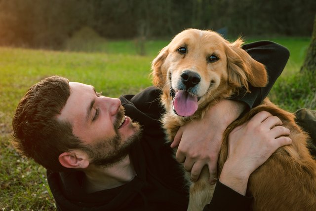 Guy and his dog, golden retriever, nature