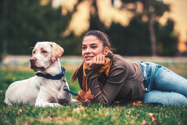 Young woman with a dog in the park. Pets and animals concept