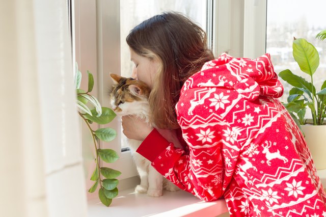 Winter time at home, young girl in winter warm pajamas with a cat looking out the window
