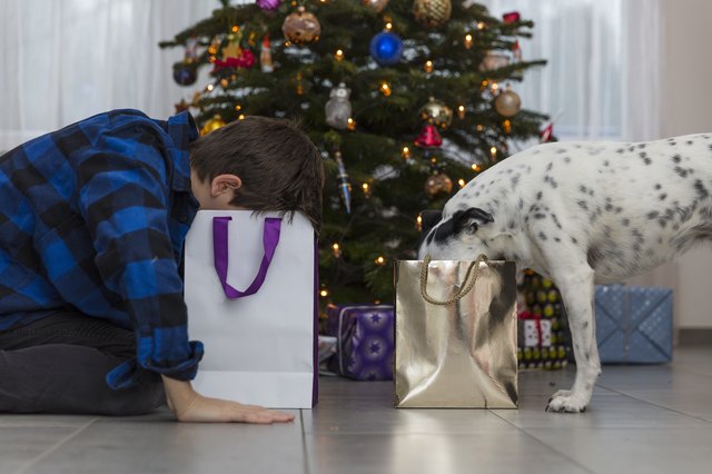child and dog