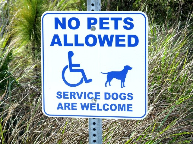 'No Pets Allowed - Service Dogs Are Welcome' sign