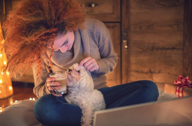 Young woman drinking coffee and playing with her Maltese puppy in a cozy Christmas atmosphere