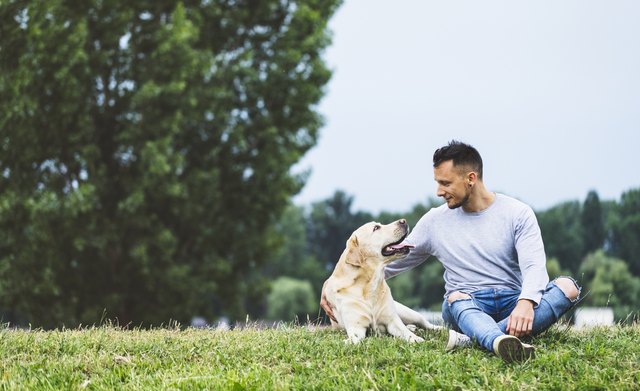 Young man hugging his dog in nature