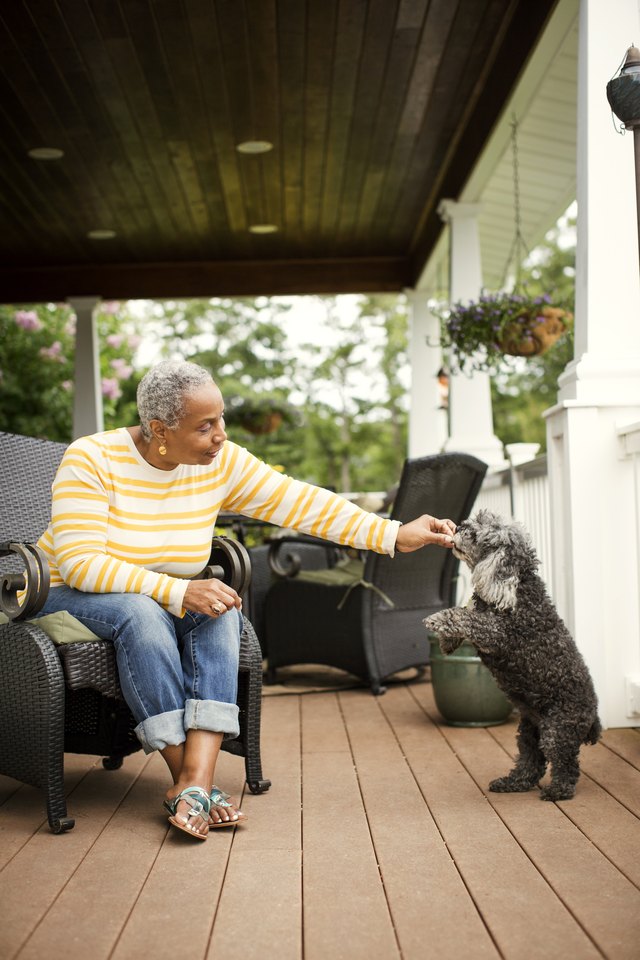 Happy woman feeding poodle while sitting on armchair in porch
