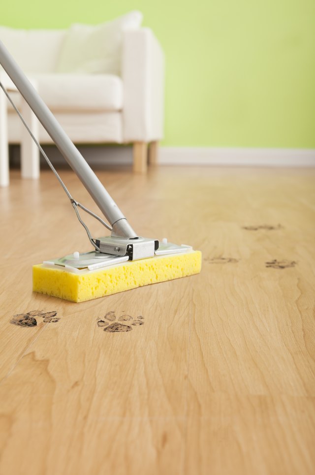 closeup of mop with paw prints around it