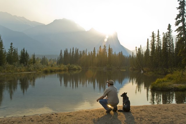 Man and dog beside lake in mountains, rear view