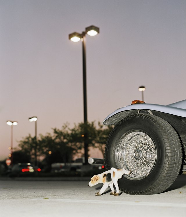 Plastic dog 'urinating' on car tyre, dusk