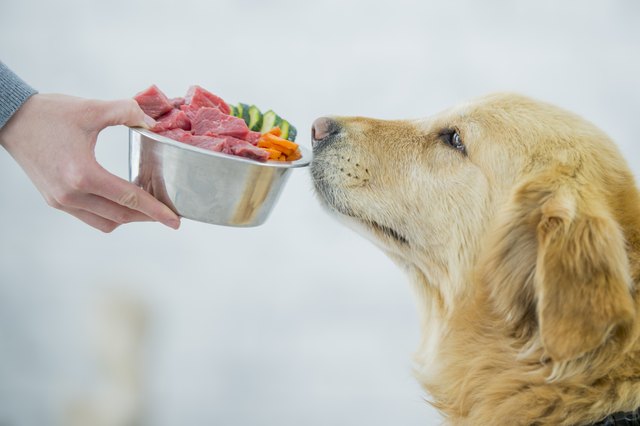 Which Vegetables Are Healthy for Dogs to Eat Cuteness