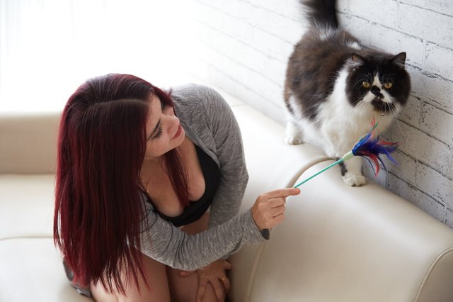 Woman playing with cat at home