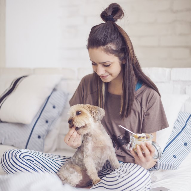 woman at home eating yogurt and holding dog