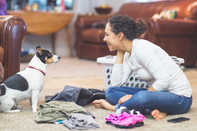 Laundry time with dog