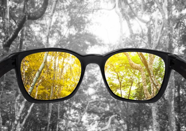 Glasses with forest, selected focus on lens, colour blindness glasses