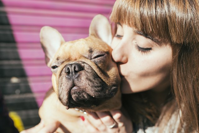 Portrait of young woman kissing French bulldog