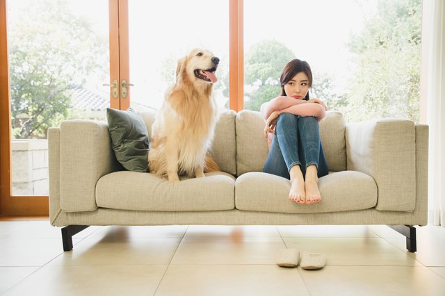 A sad woman and a dog sitting next to her