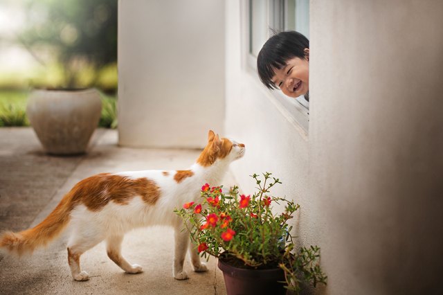 Toddler smiling to a cat.
