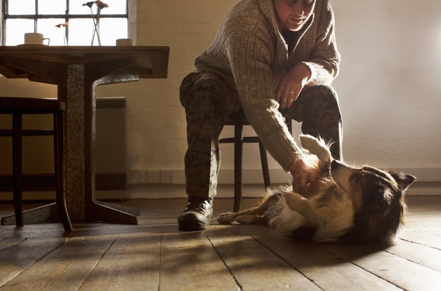 man rubbing dog's belly