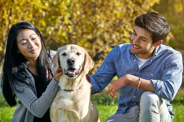 We’re super hands-on with our dog