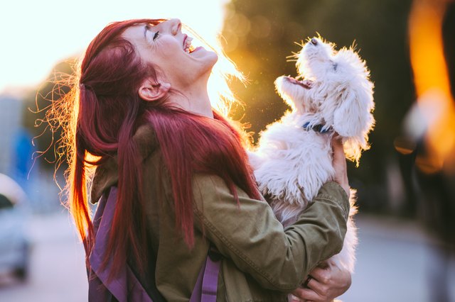 do-dogs-understand-smiles-cuteness