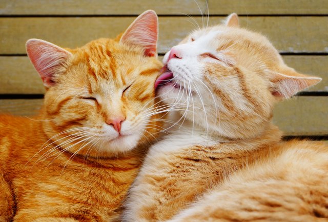 Sweet moment