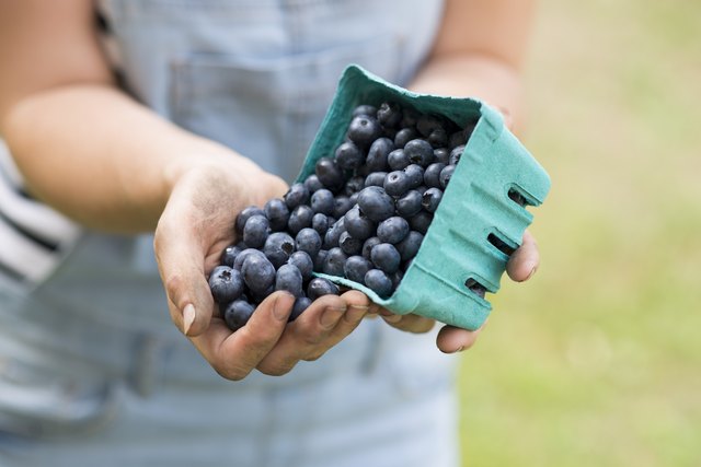 Tasty Blueberries
