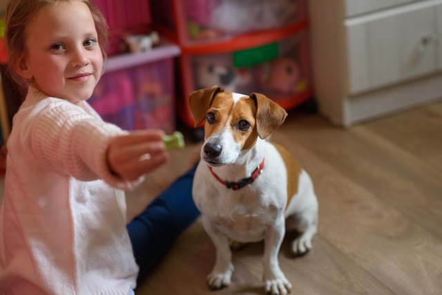 Little girl with dog at home in playroom.