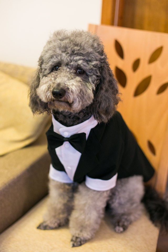Ready for wedding!