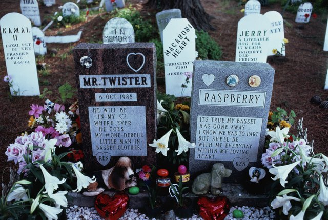 USA, California, San Francisco, gravestones in pet cemetery
