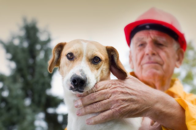 firefighter with dog in lap