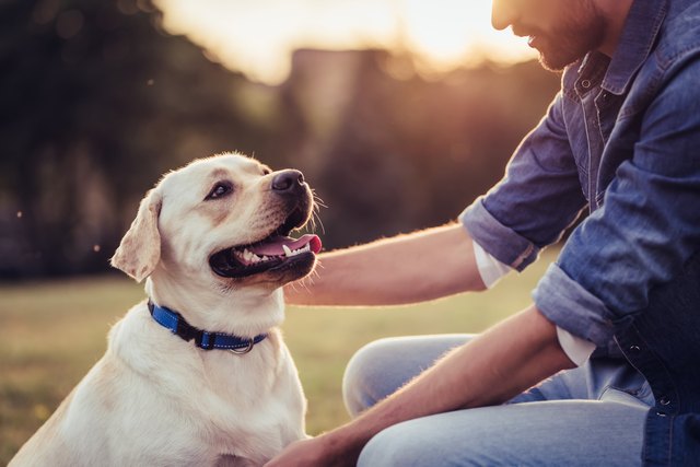 Man with dog