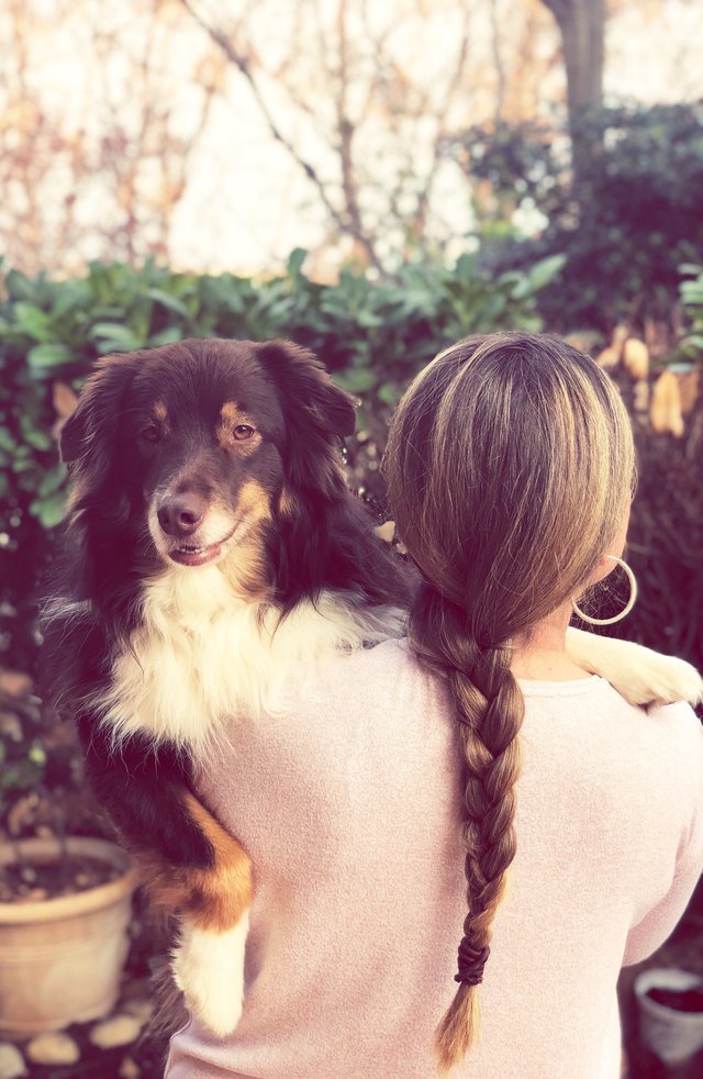 Rear View Of Woman Carrying Dog