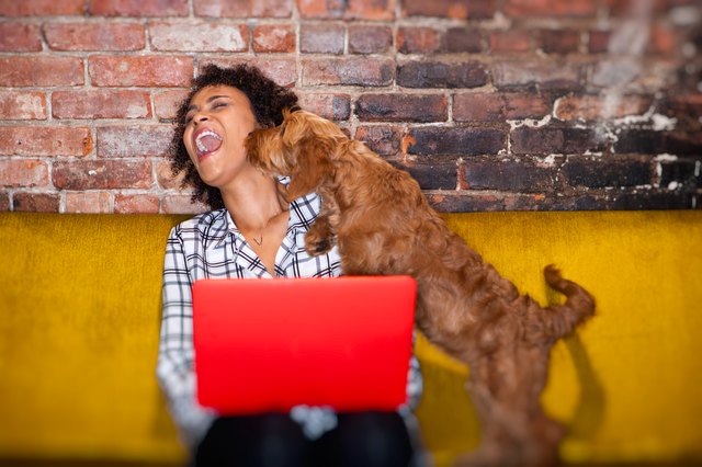 modern woman working from home