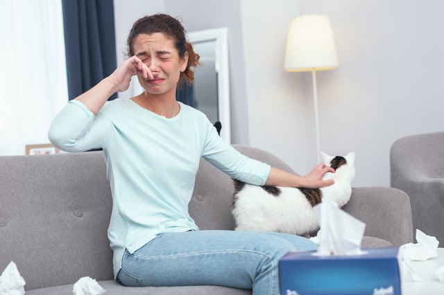 Young lady taking care of a cat developing a fur allergy