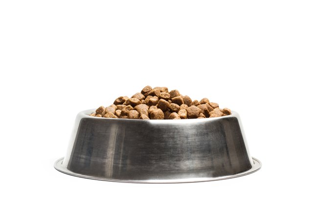 Dog food in a stainless steel bowl