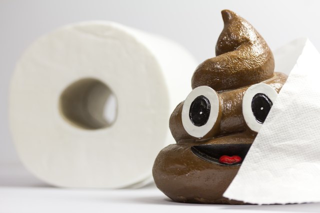 Shit in the toilet