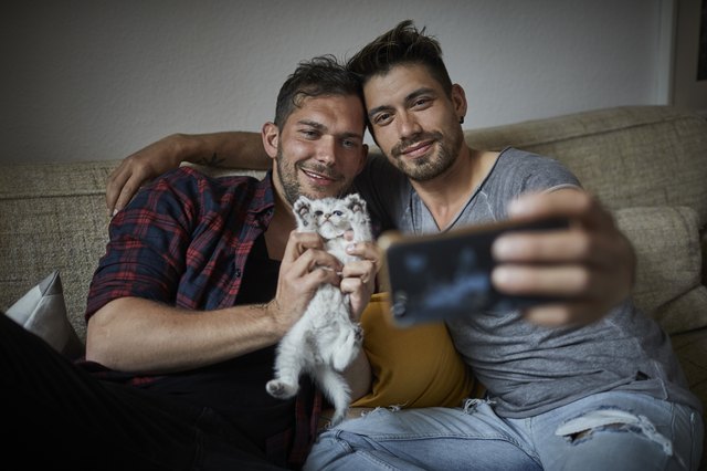 Smiling gay couple taking a selfie with kitten at home