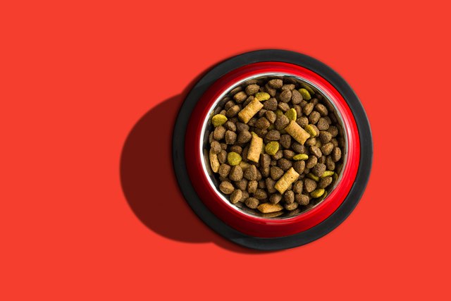 Directly Above Shot Of Dog Food In Bowl On Red Background