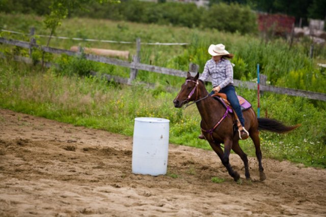 instructions-for-barrel-reins-cuteness