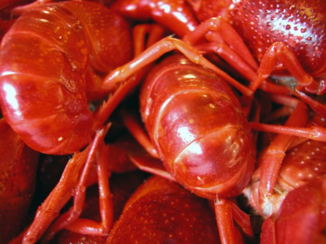 What Vegetables Do Crayfish Eat