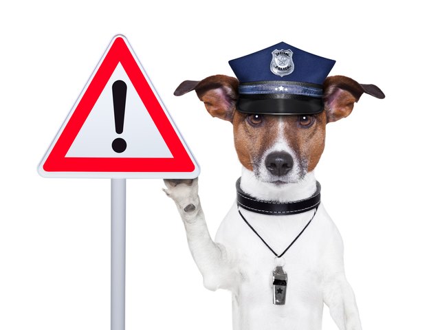 police dog