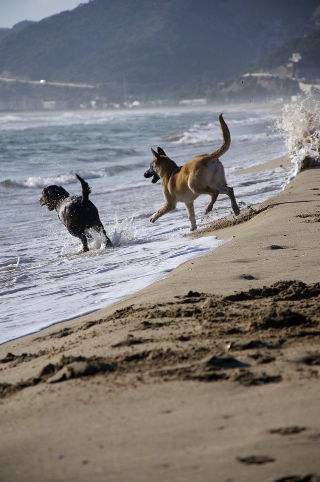 Play time