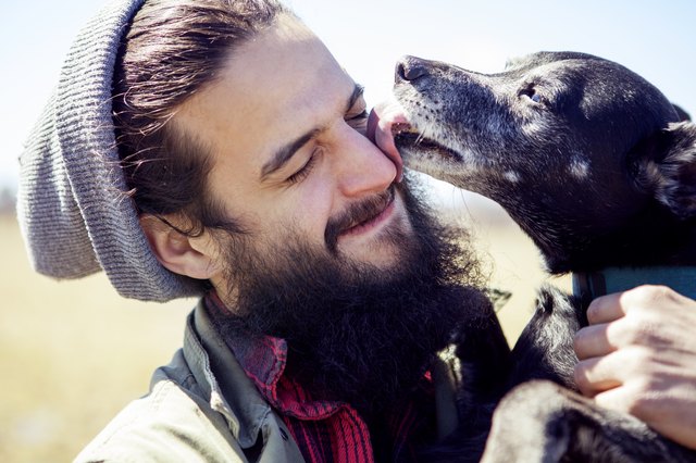 Close-up of dog licking mans face during sunny day