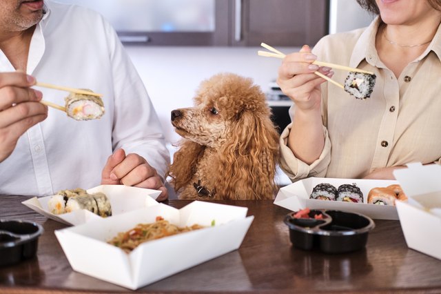 Can Dogs Eat Sushi? | Cuteness