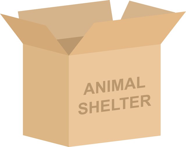 Animal Shelter Charity Box Vector