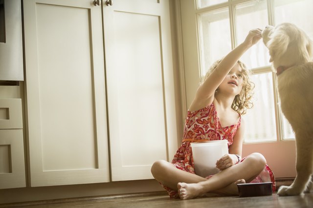 Caucasian girl sitting on kitchen floor feeding dog