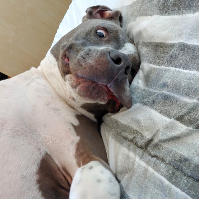 Let me take a selfie...