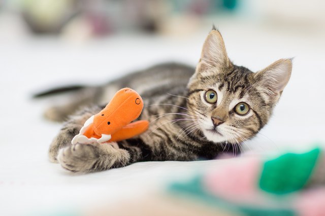 Cat Kicker Toys: 8 Toys That Will Unleash Your Cat's Inner Hunter ...