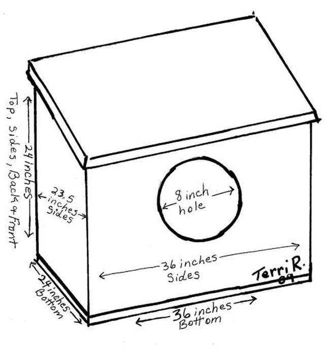 How to Build a Nest Box for Macaws | Cuteness