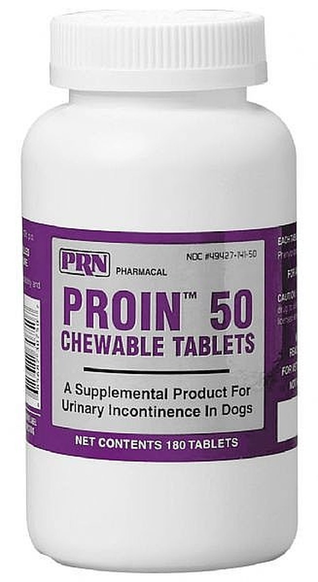 how-to-use-proin-for-dogs-to-treat-canine-urinary-incontinence-cuteness